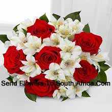 6 Belles roses rouges avec des remplisseurs