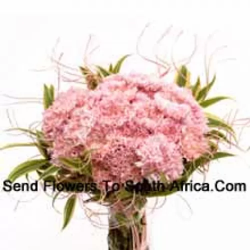 Bunch Of 24 Pink Carnations With Seasonal Fillers