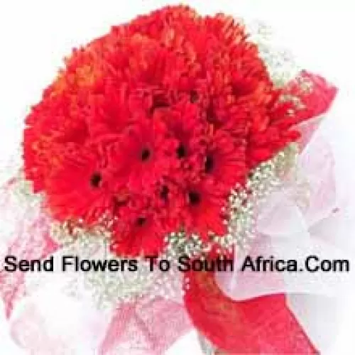 Un magnifique bouquet de 36 gerberas rouges avec des remplisseurs saisonniers